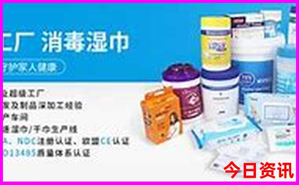 2025年生肖表排码表图