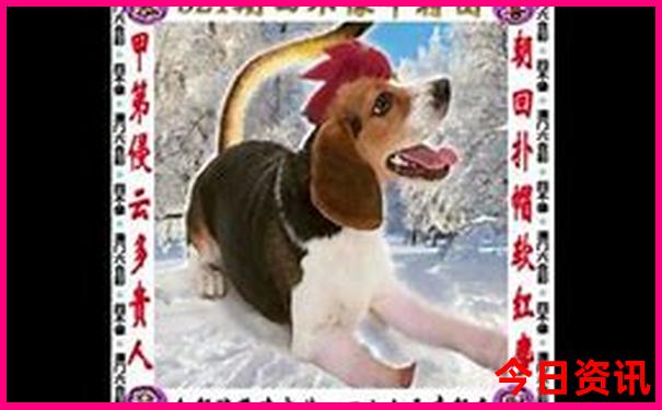 张家界离哪个城市近可以去玩